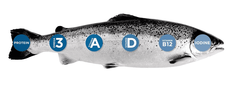 Dinh dưỡng trong cá hồi Na Uy