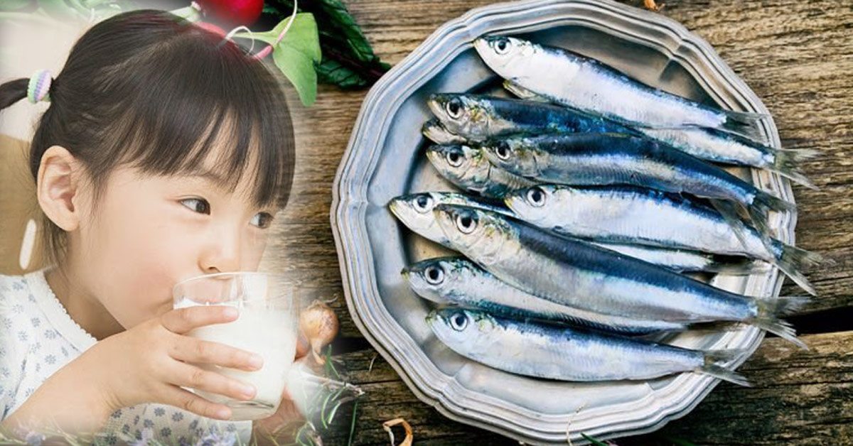 Loại cá giàu canxi hơn cả uống 1 cốc sữa