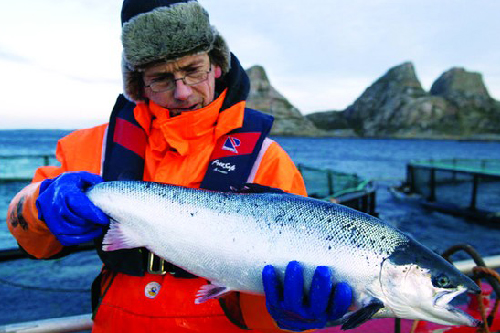 Nauy - Vương Quốc Omega 3